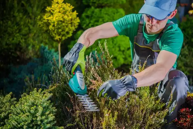 landscaping services Amityville